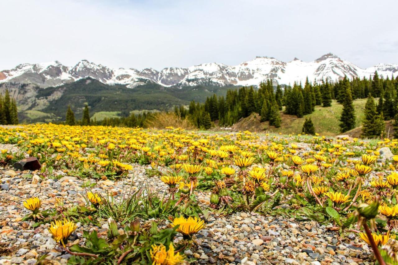 Mountain Lodge Telluride Pokoj fotografie